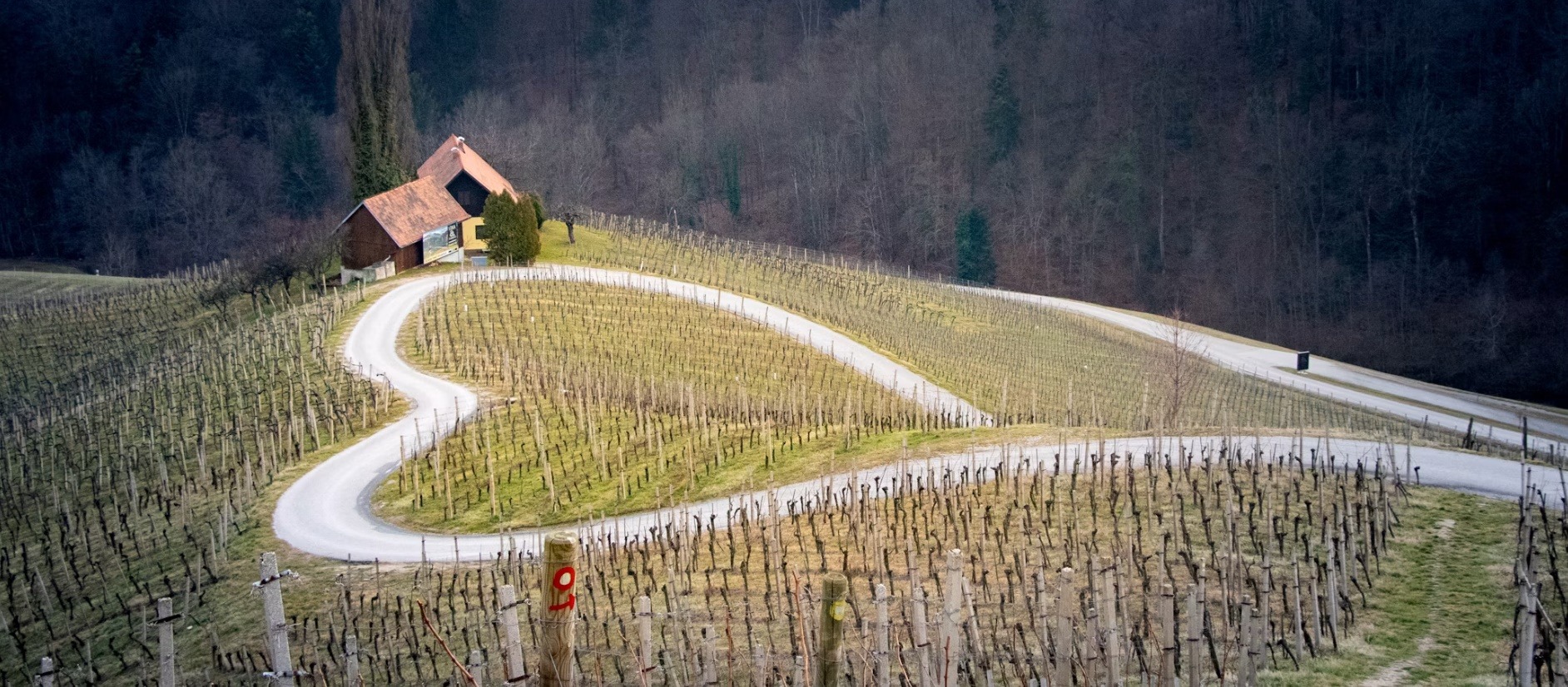 Slovenia country image