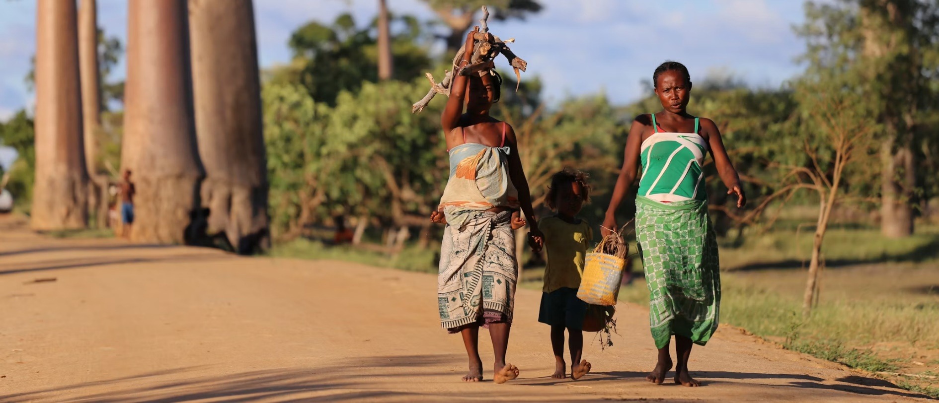 Madagascar country image