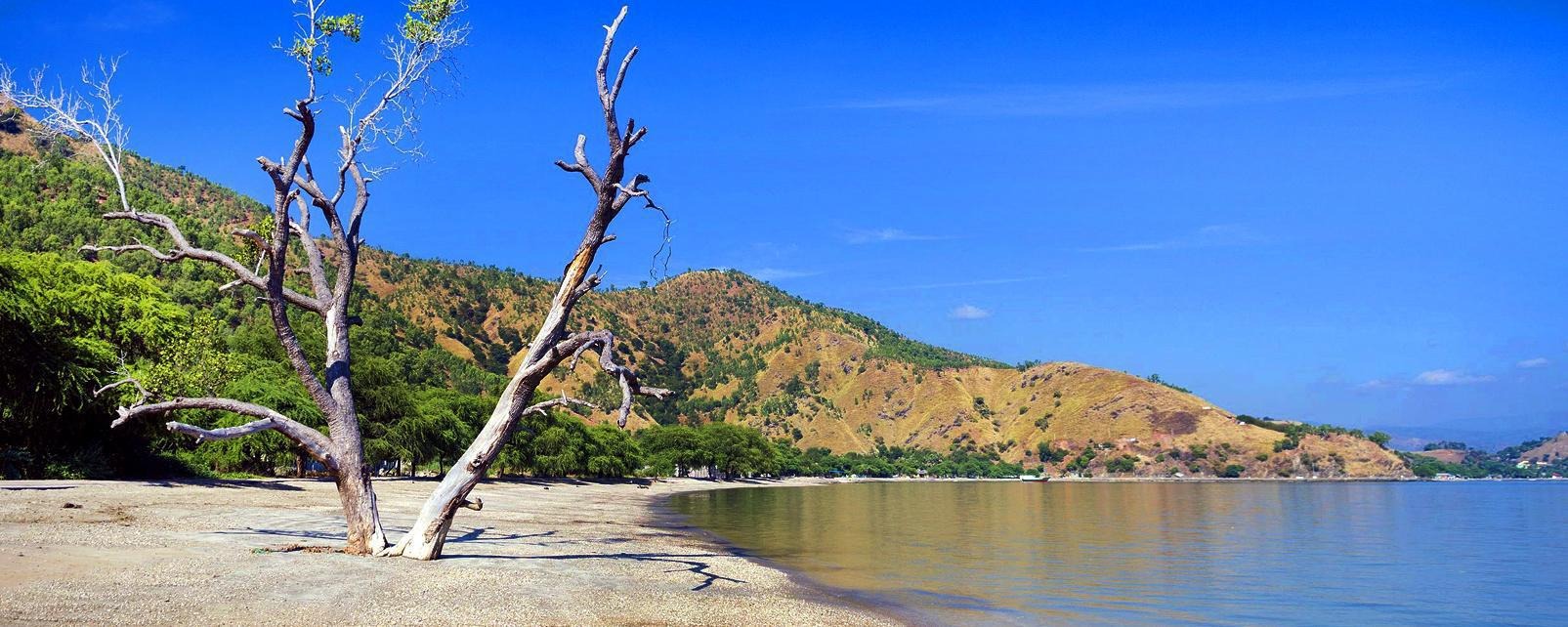 Timor-L. country image