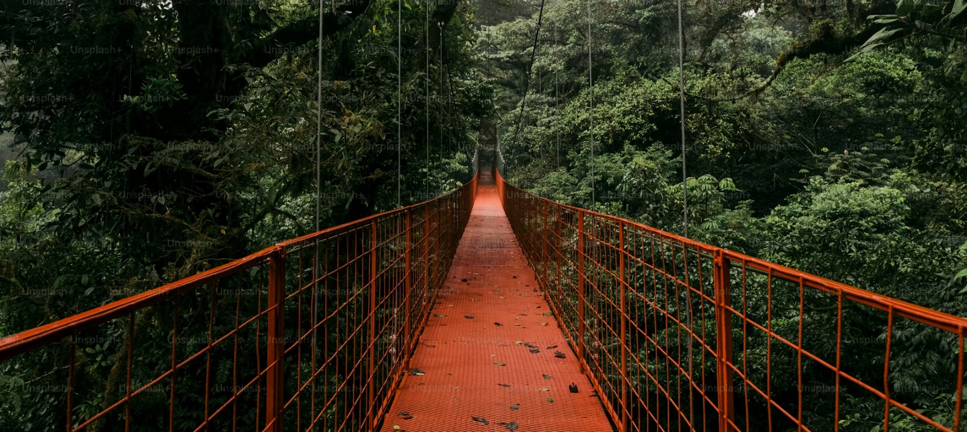 Malaysia country image