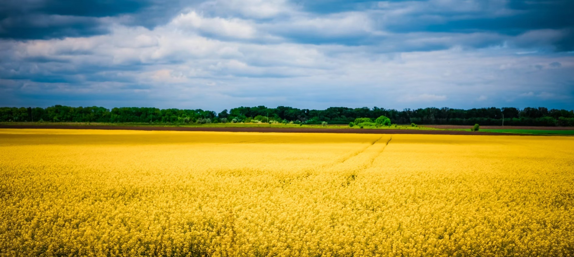 Ukraine country image
