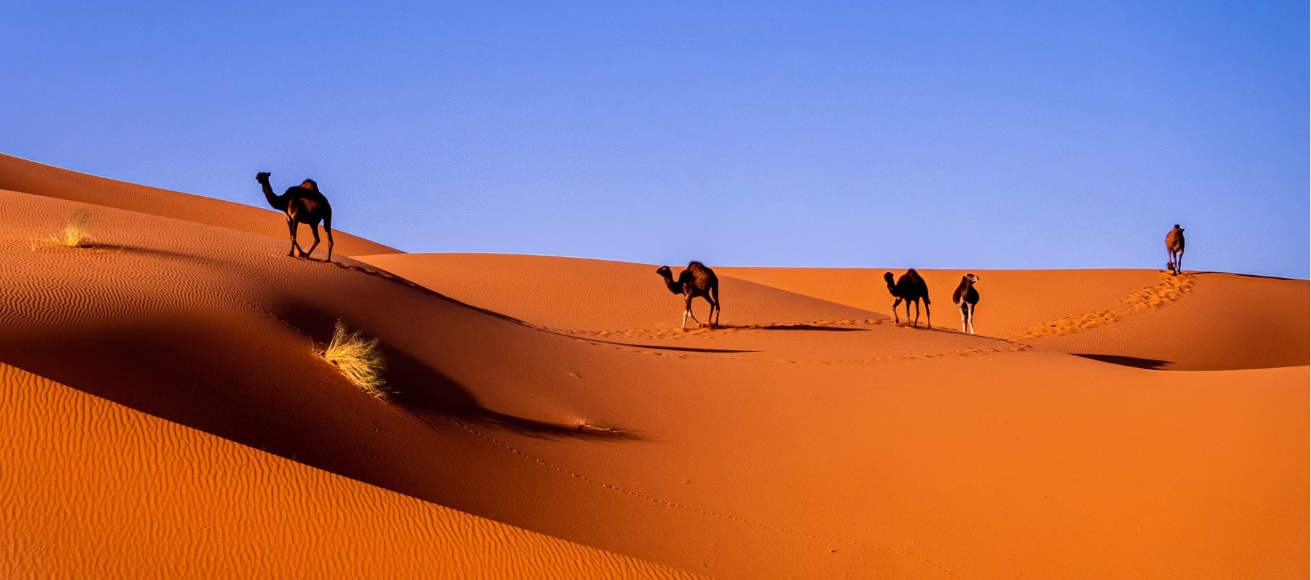 Morocco country image