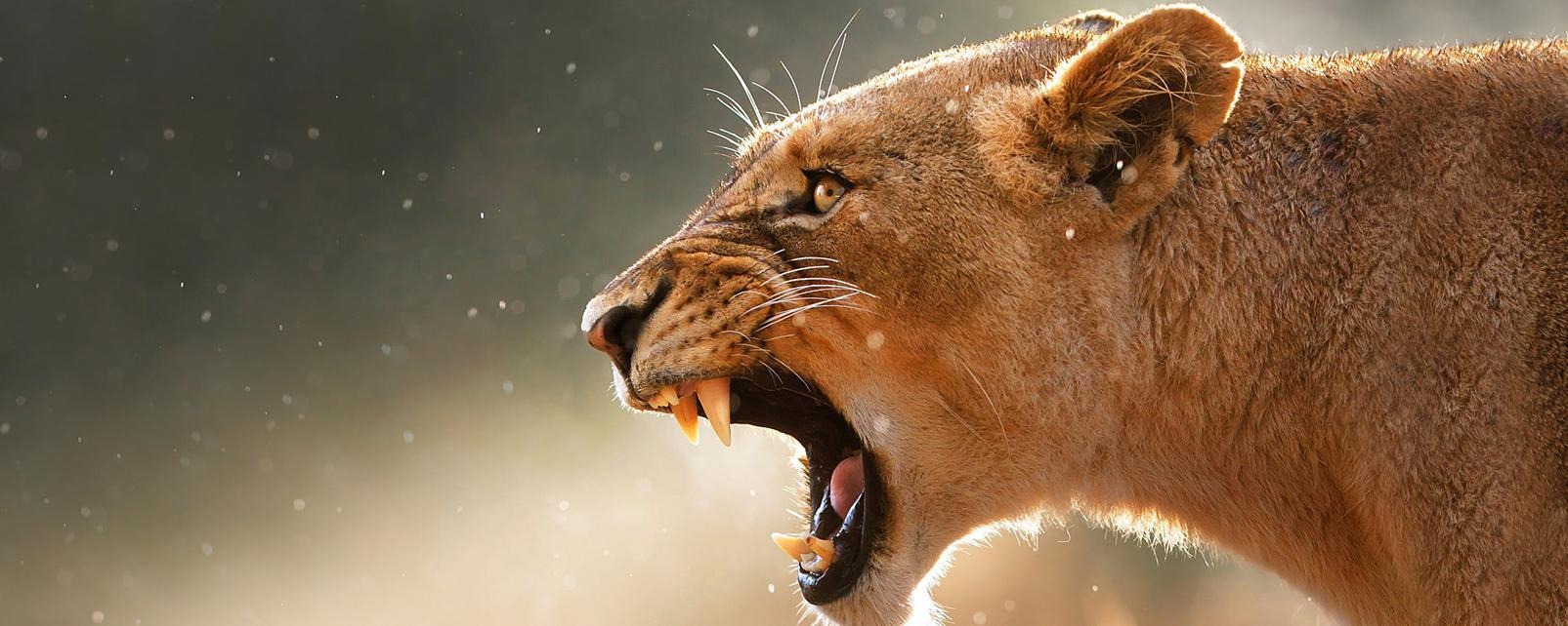 Tanzania country image