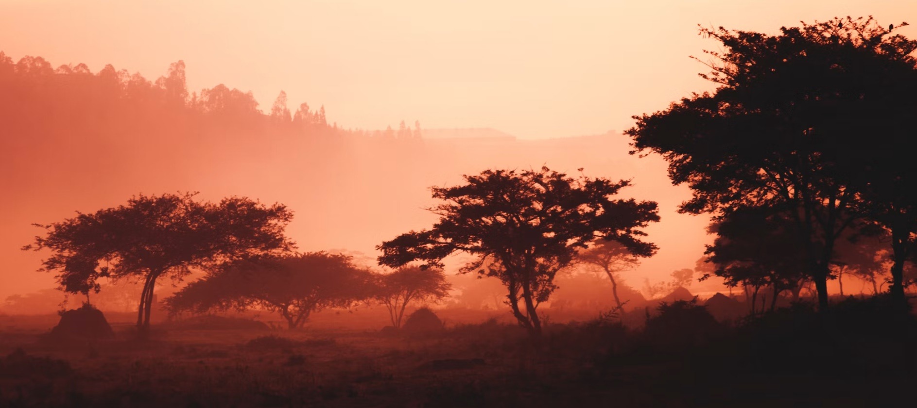 Rwanda country image