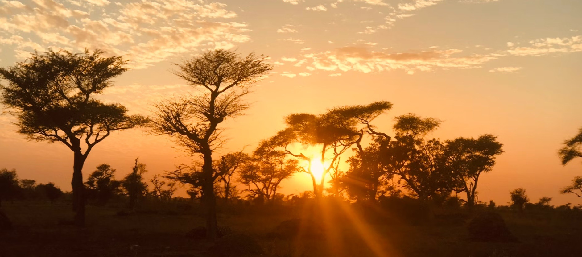 Senegal country image