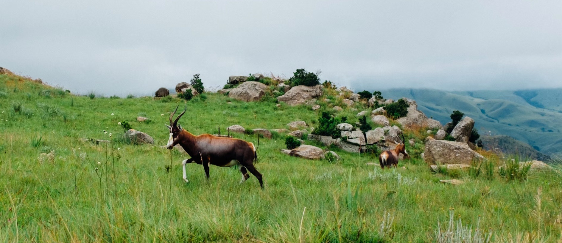 Swaziland country image