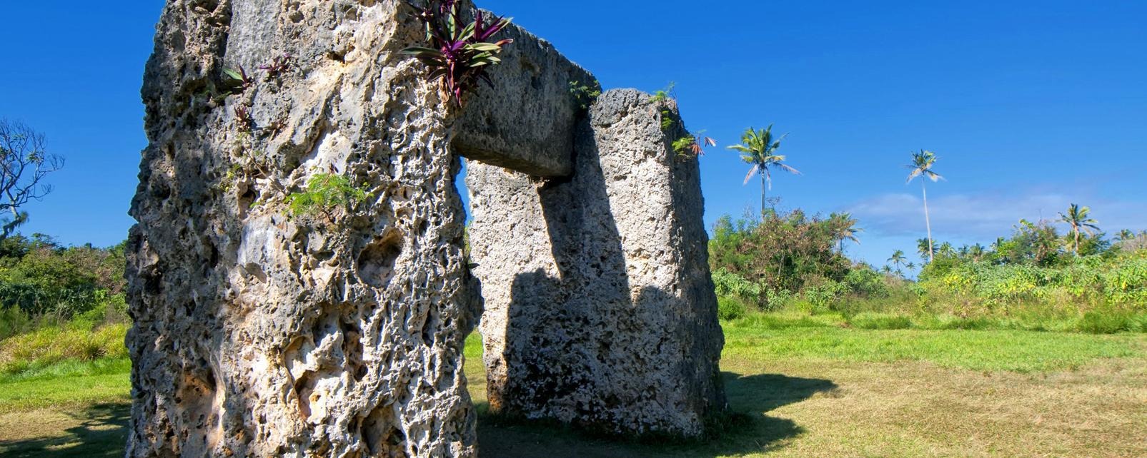 Tonga country image