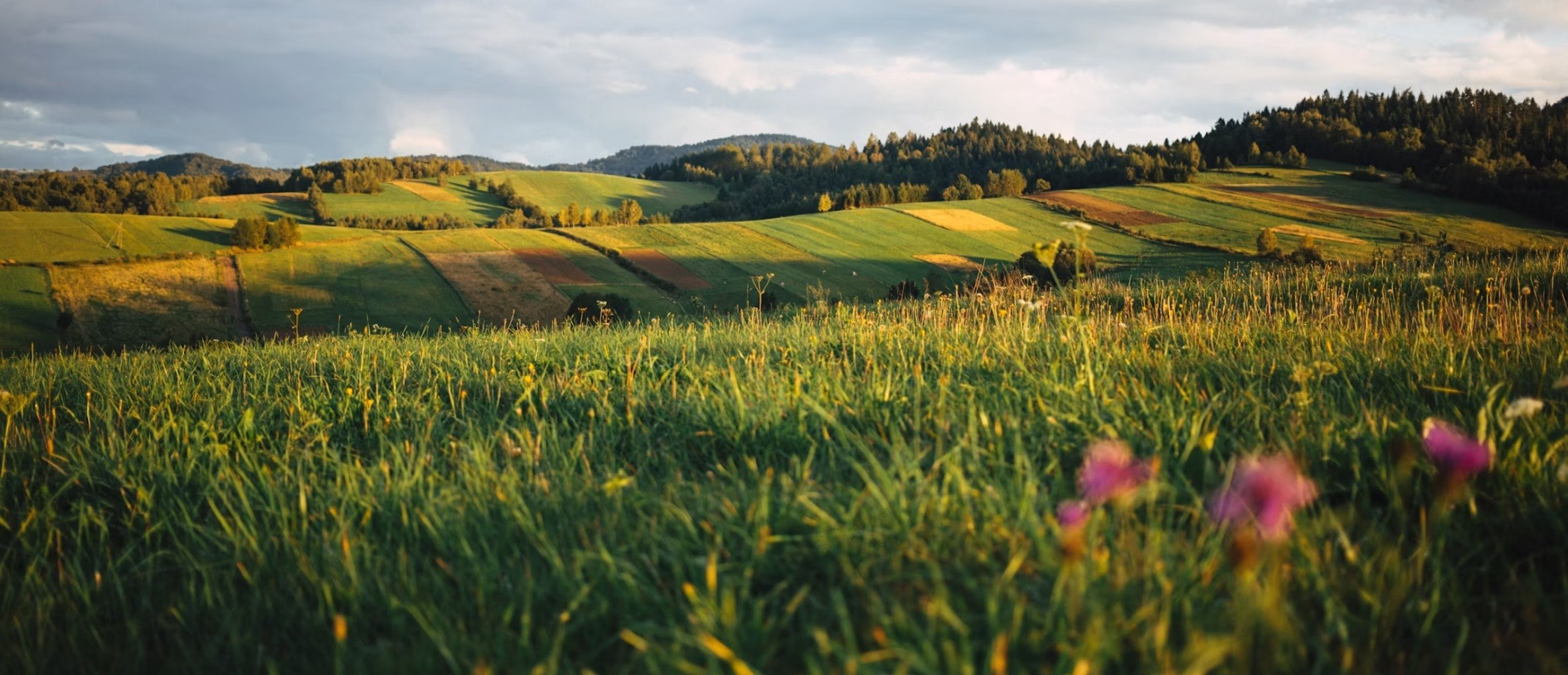 Poland country image